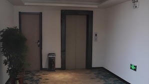 A hallway with two doors, a potted plant, and a trash bin.
