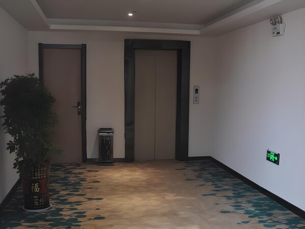 A hallway with two doors, a potted plant, and a trash bin.
