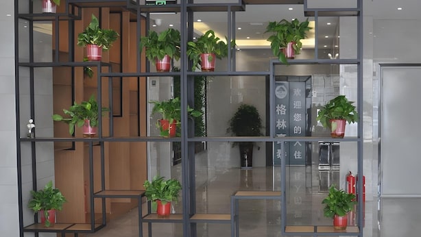 A modern interior with a geometric shelving unit holding potted plants, a wooden staircase, and a visible reception area with signage.