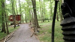 A forested area with a gravel path leading to a red cabin. - Summertime and the living is easy at the bearclaw  (Springville)