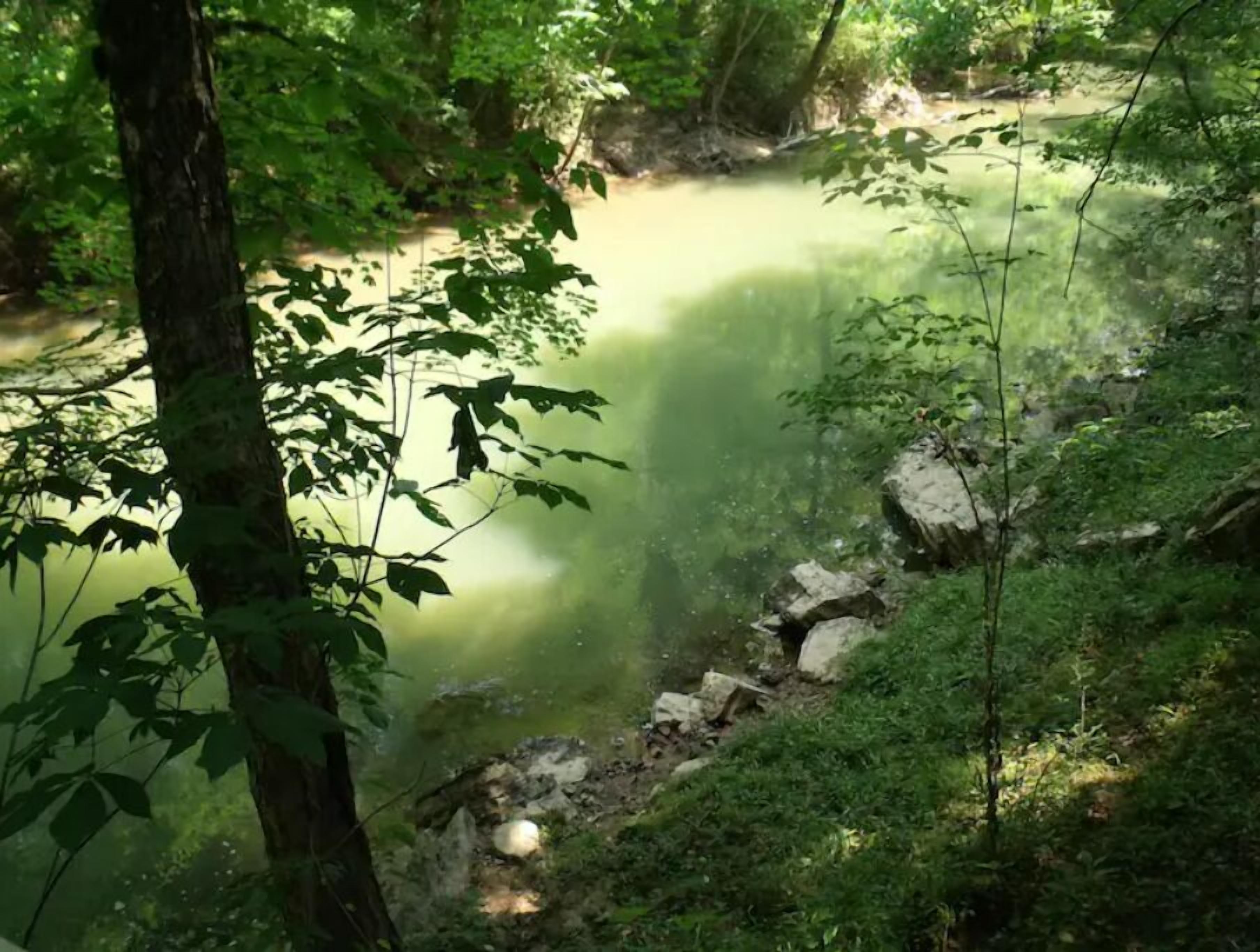 Une zone boisée paisible, avec une étendue d’eau calme, entourée d’arbres et de rochers.