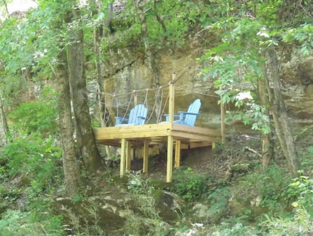 Property grounds. The bearclaw is basking in a glorious spring