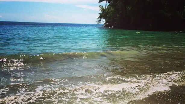 Une plage bordée d’une eau turquoise et limpide, avec une île verdoyante en arrière-plan.