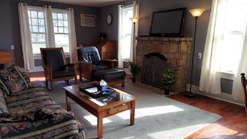 TV, fireplace, DVD player, books