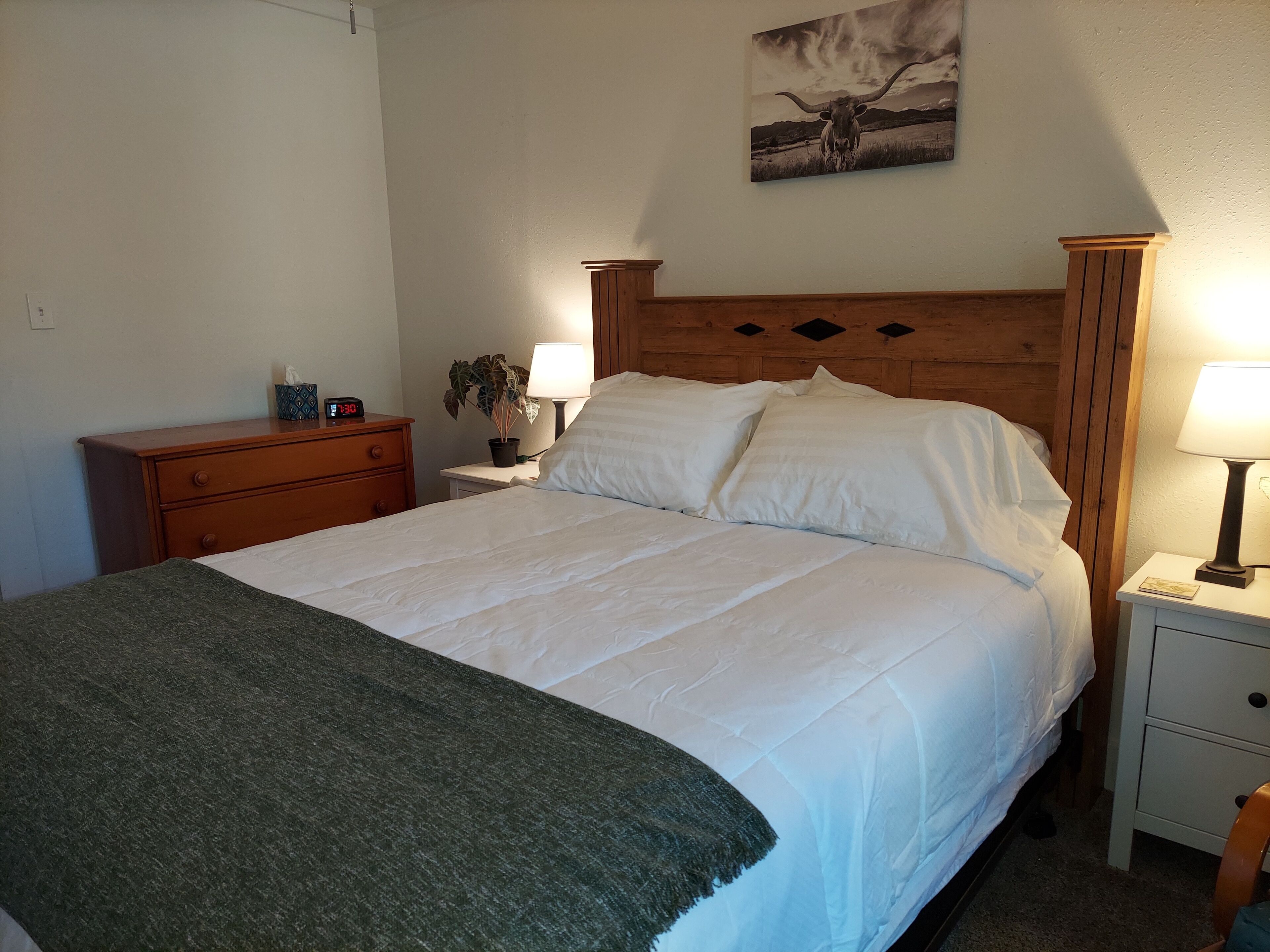 3 bedrooms, iron/ironing board, travel crib, free WiFi