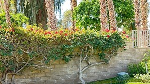 A swimming pool with a stone edge and a brick wall in the background. - Spacious home in Avondale Golf Club. Available May 1st 2025! (Palm Desert)
