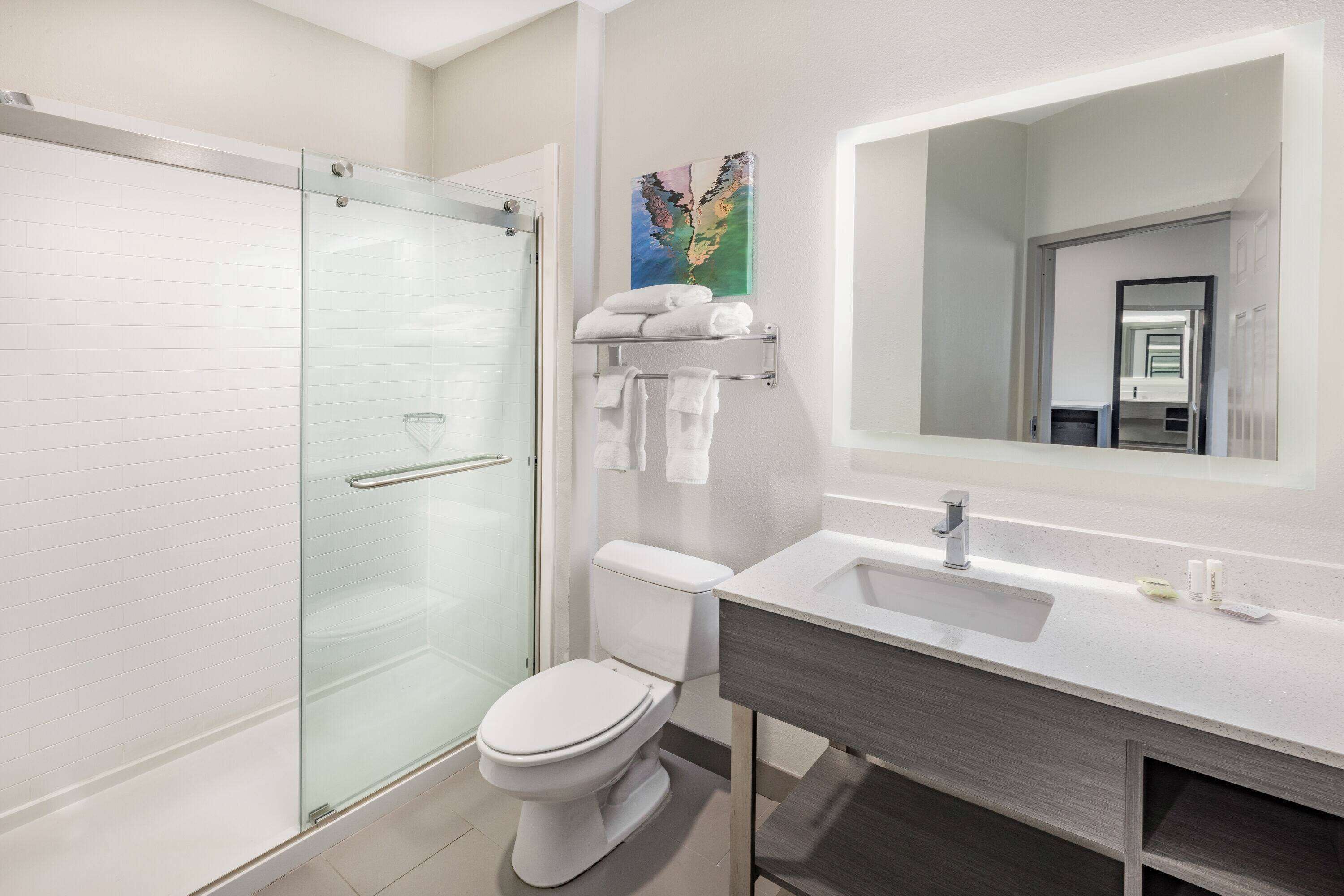 hair dryer, towels, soap, shampoo