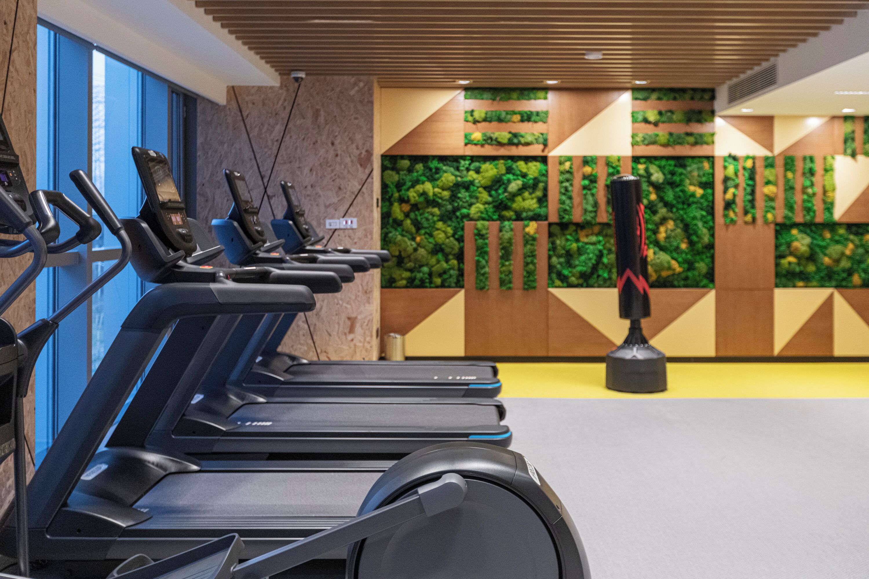 A row of stationary exercise bikes in a gym with a green wall and a punching bag.