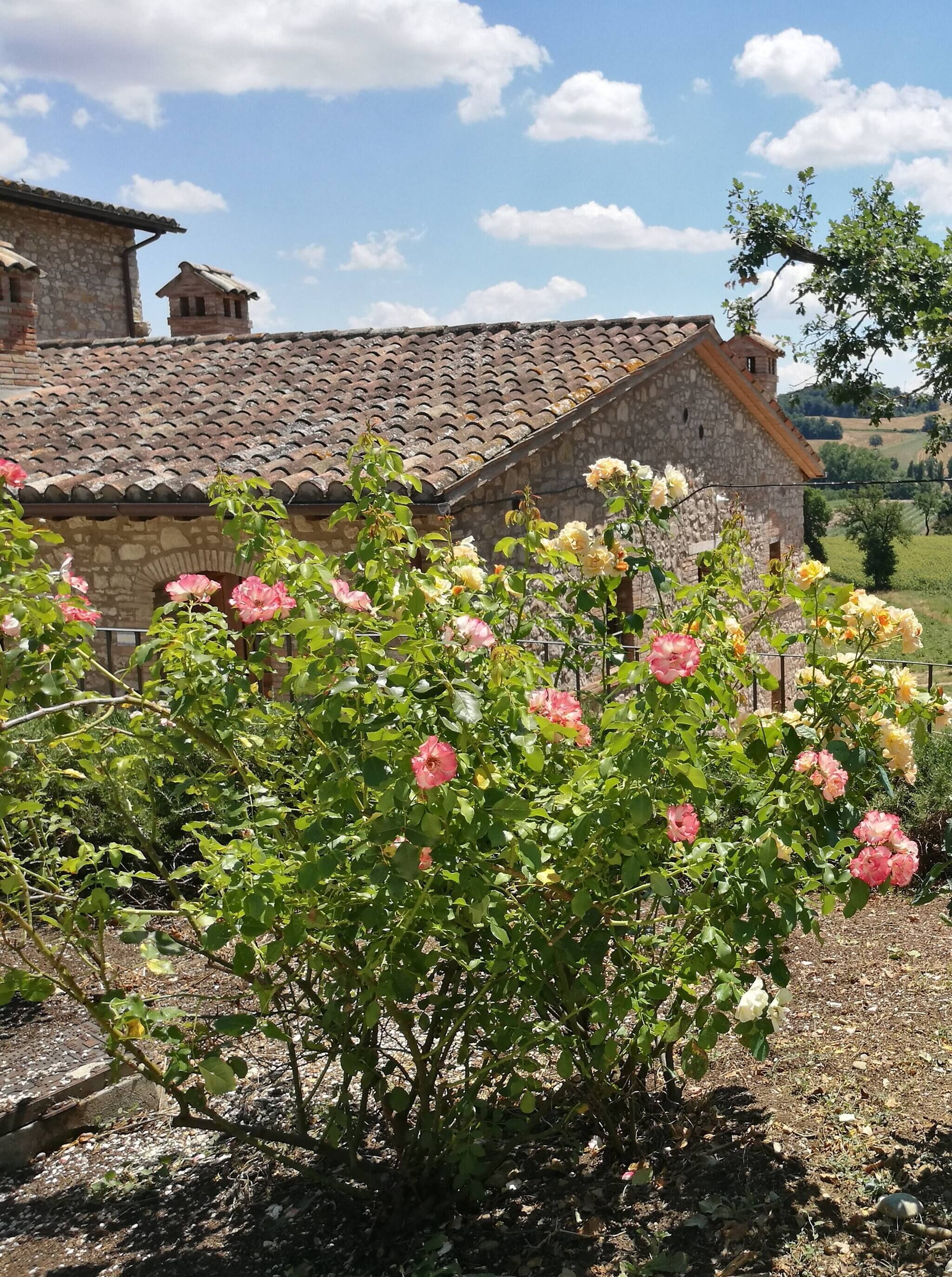 Appartement, 3 chambres | Enceinte de l’hébergement