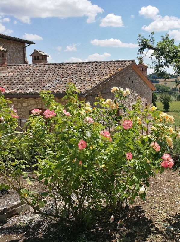Apartment, 3 Schlafzimmer | Unterkunftsgelände