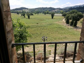 Apartment, 1 Schlafzimmer | Unterkunftsgelände