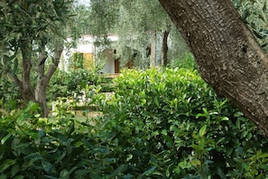 Un jardín con olivos, un seto y un edificio con puertas arqueadas.