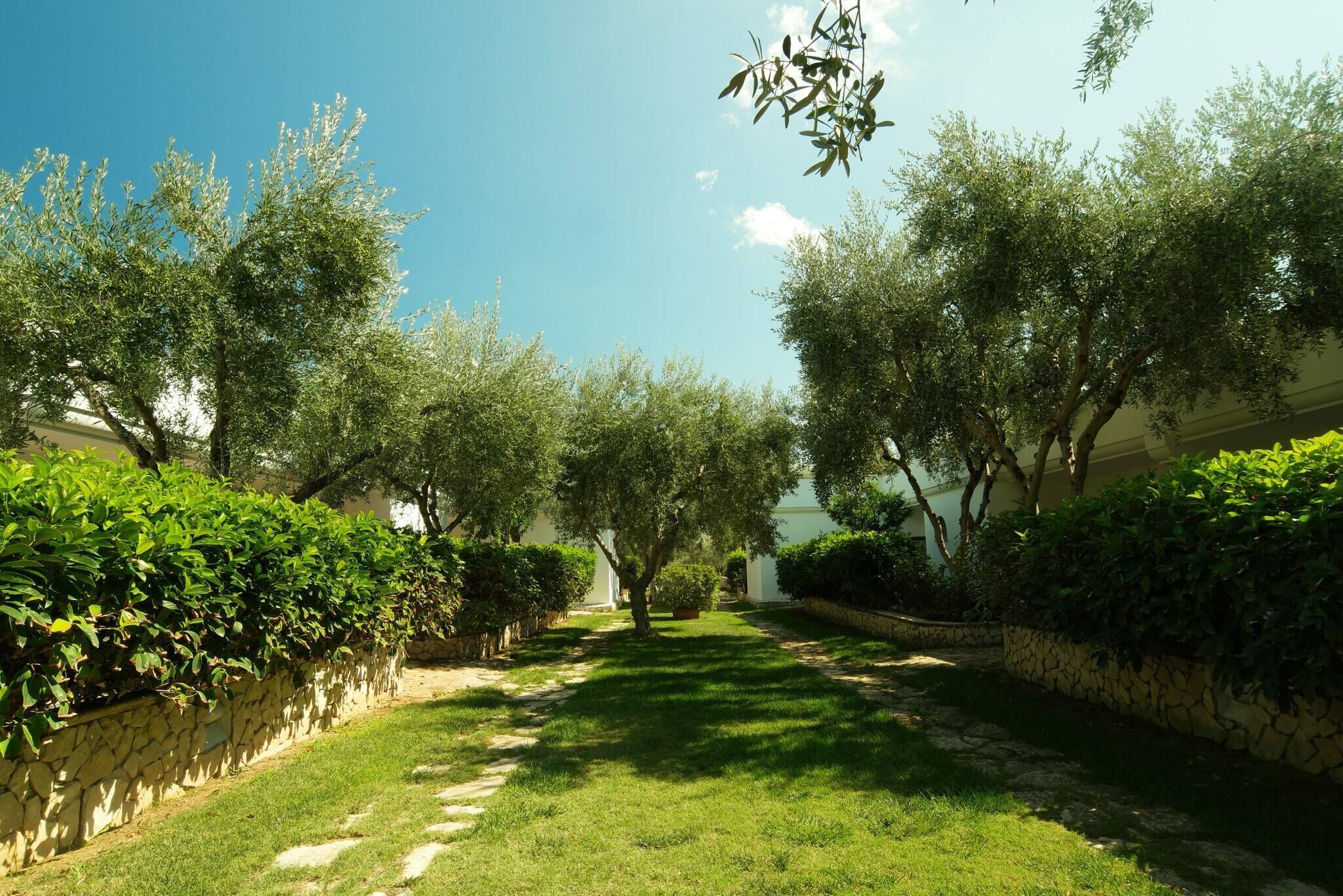 Un jardín bien cuidado con un sendero de piedra, abundante vegetación y árboles.