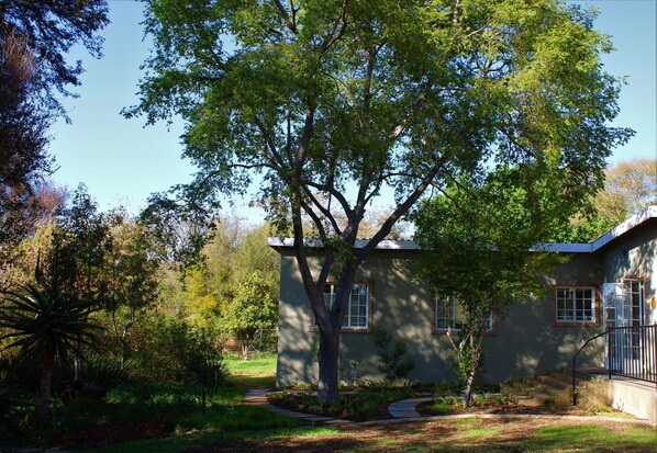 Property grounds - Wild Olive Cottage for 2 People in Wonderful Garden! (Muldersdrift)