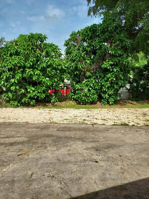 Appartement, vue jardin | Jardin