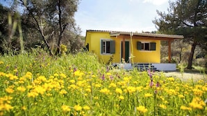Un edificio amarillo con un porche, rodeado por un campo de flores amarillas y árboles.