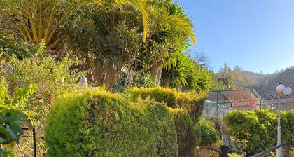 Cottage With 1 Bedroom, 1 Bathroom, Heated Solar Pool, Sauna, Jacuzzi, Garden