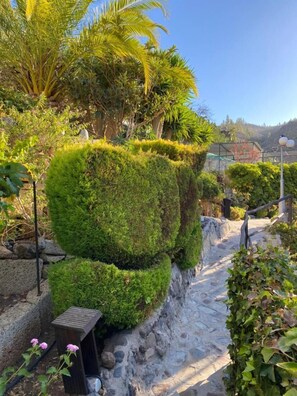 Property grounds - Cottage With 1 Bedroom, 2 Bathroom Heated Solar Pool, Sauna, Jacuzzi Garden (Guia de Isora)