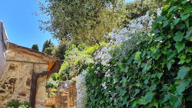Un escalier en pierre mène à un bâtiment à l’aspect rustique, entouré d’une végétation luxuriante et de fleurs blanches.