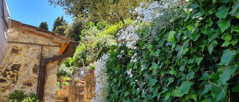 House, 3 Bedrooms, Balcony, Garden View | Property grounds