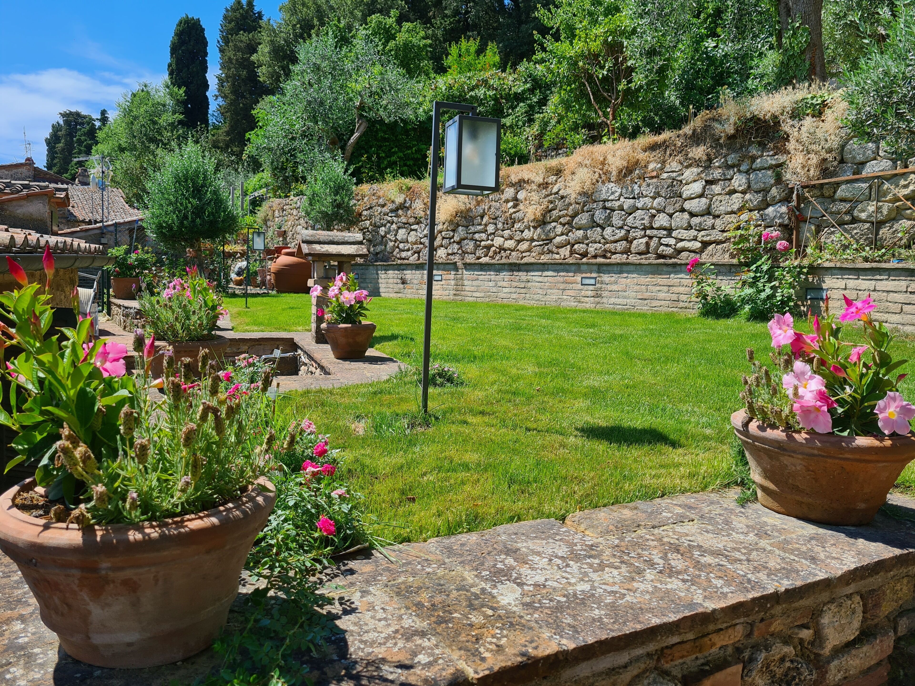 A garden with potted plants, a stone wall, and a clear sky.