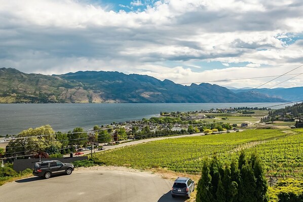 Ein Weinberg mit Rebenreihen, eine Straße mit Fahrzeugen und ein See mit Bergen im Hintergrund.