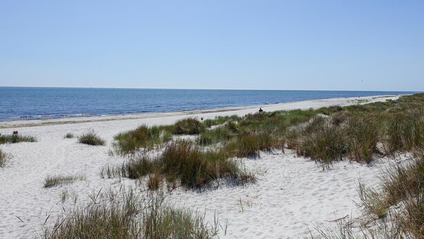 Ein Strand mit Dünen und spärlicher Vegetation.