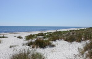Tæt på stranden