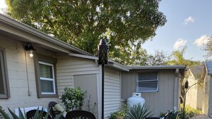Un patio con mobiliario exterior, plantas en macetas y un depósito de agua.