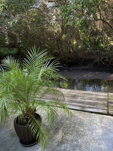 WARM MINERAL SPRINGS MODERN WATERFRONT STUDIO