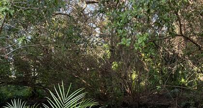 WARM MINERAL SPRINGS MODERN WATERFRONT STUDIO