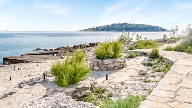 Eine Küstenpromenade mit Steinstufen, grünen Pflanzen und Blick auf das Meer sowie eine entfernte Insel.
