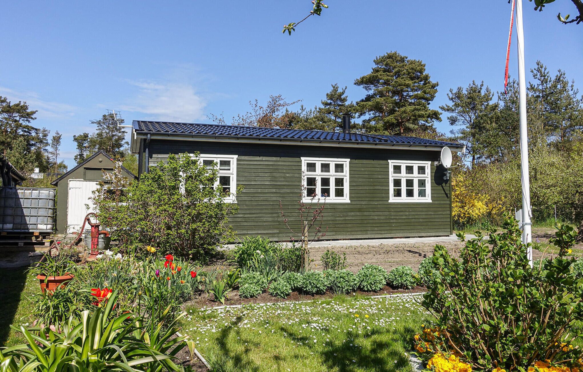 Een groene houten woning met witte ramen en een schotelantenne, gelegen in een tuin met verschillende planten en bloemen.