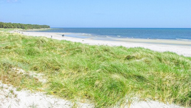 Une plage avec des dunes de sable et une vue dégagée sur l’océan.