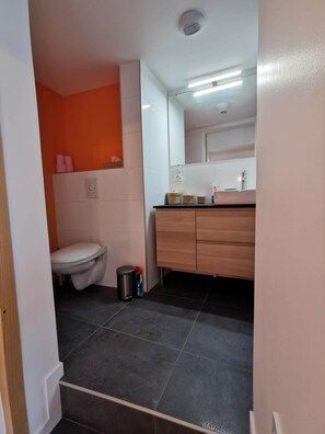 Bathroom features a white toilet, vanity with mirror, and black tiled floor.