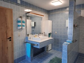 Shower, hair dryer, bidet, towels