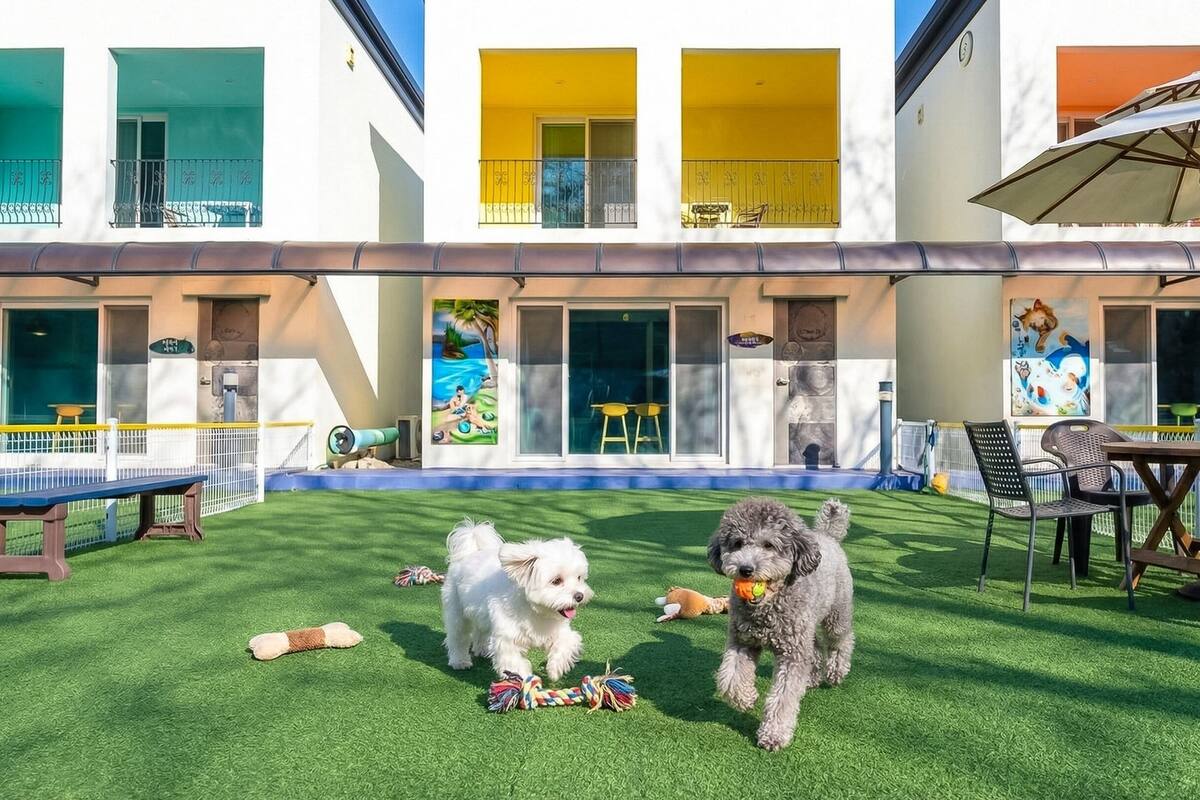 Habitación básica, 2 habitaciones (Poolvilla C) | Exterior