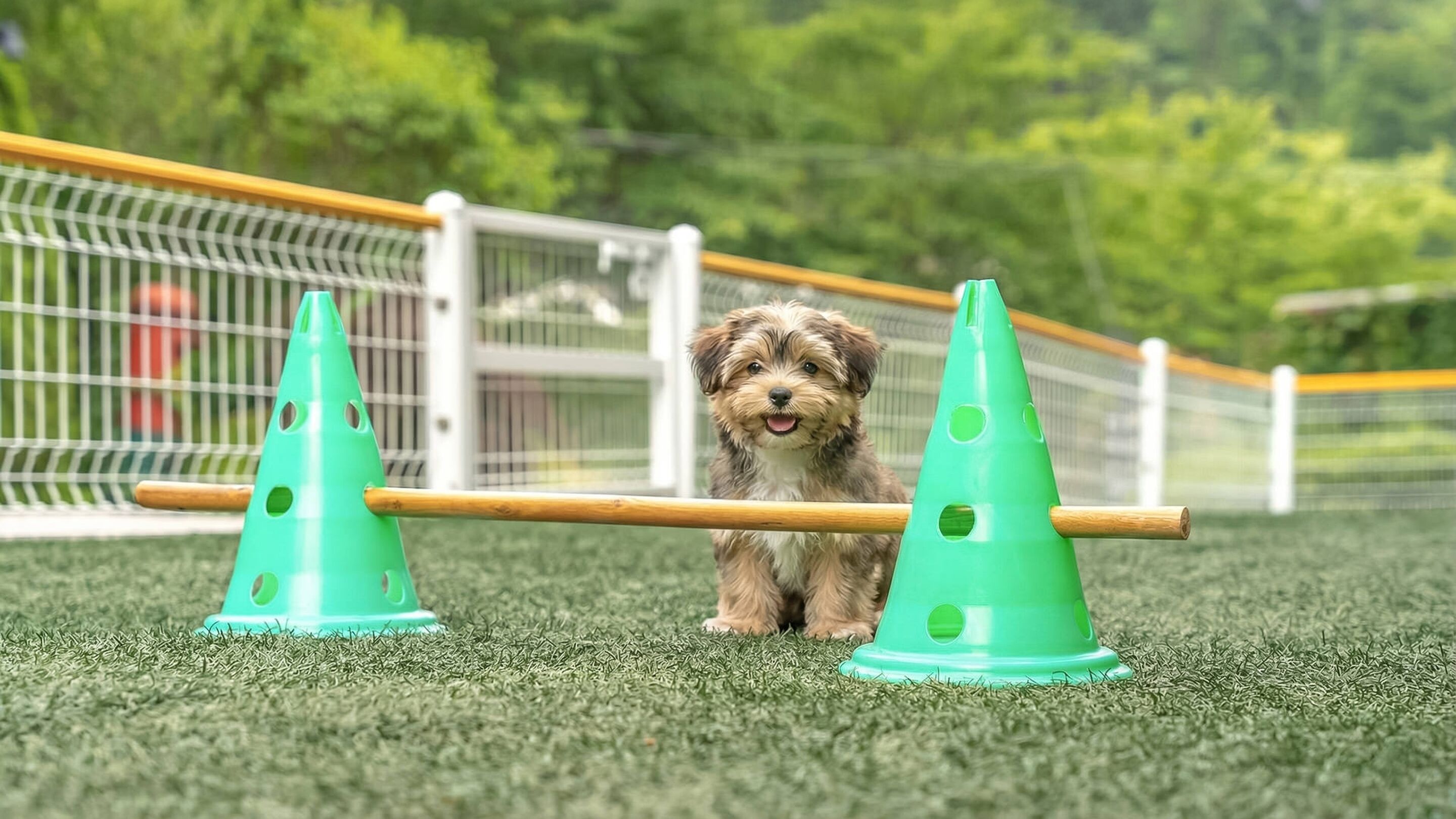 Basic Room, 1 Bedroom (Salgoo) | Free WiFi