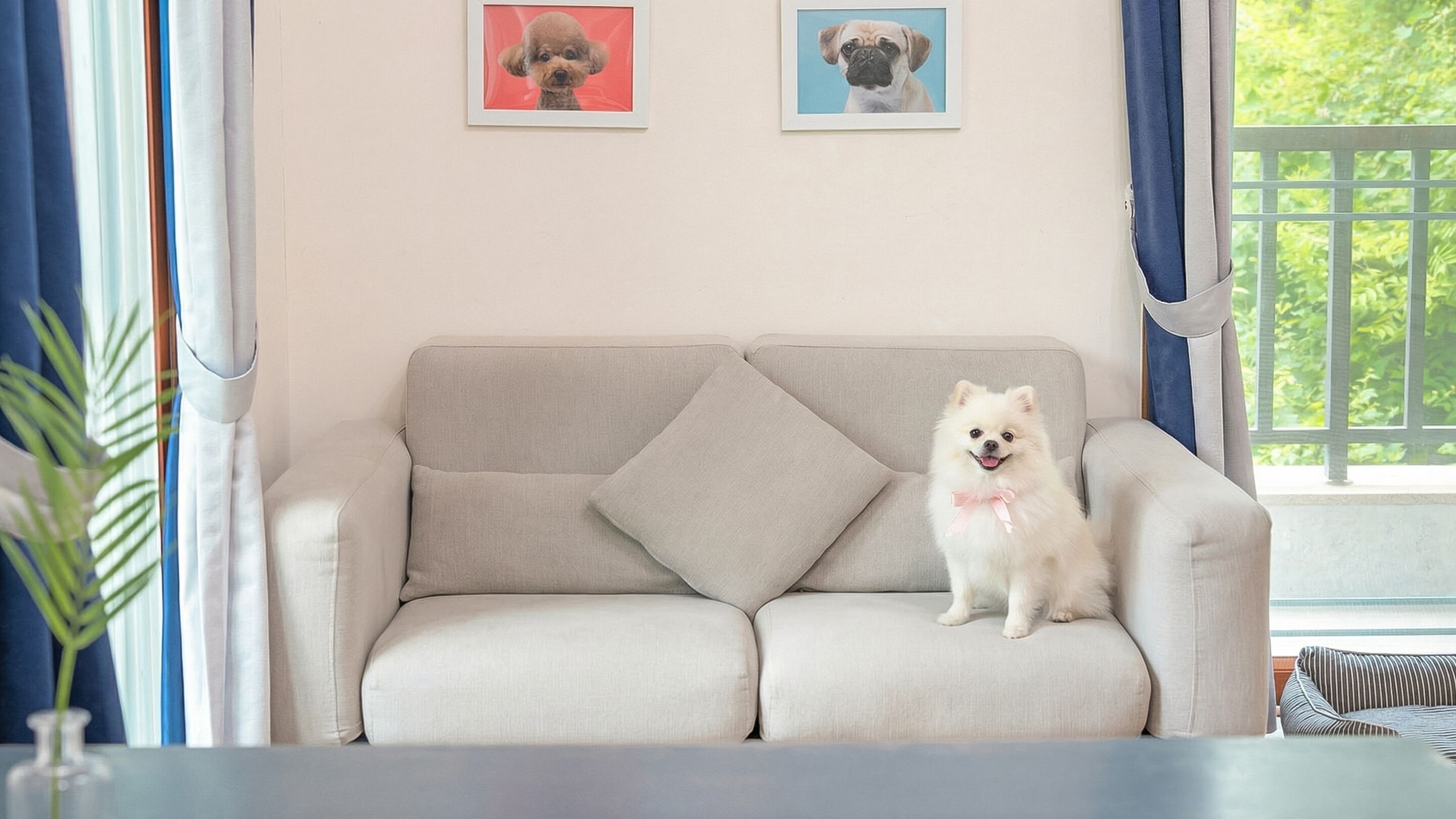 Basic Room, 1 Bedroom (Nang-e) | Free WiFi