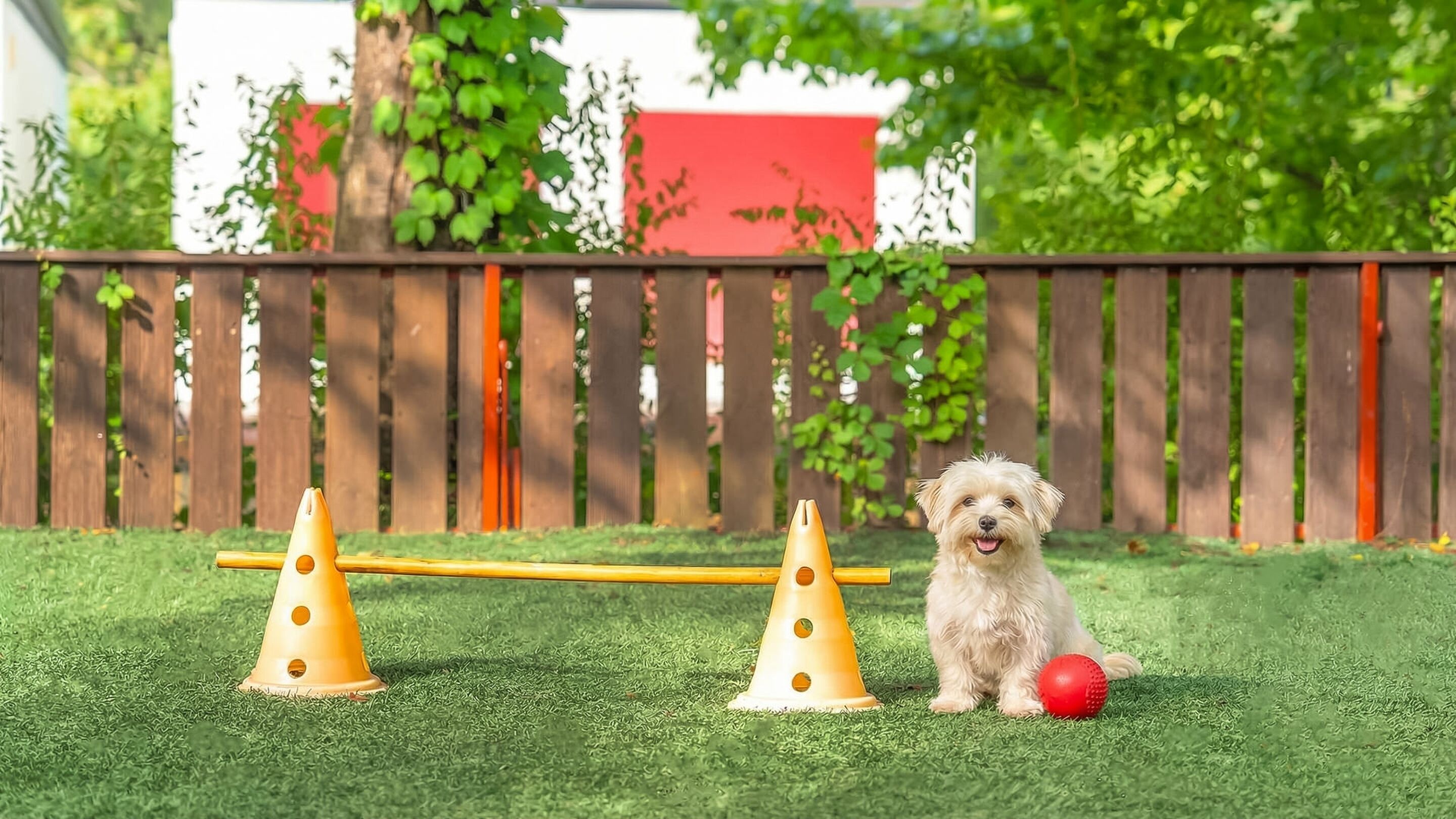 Basic Room, 2 Bedrooms (Kids5) | Free WiFi