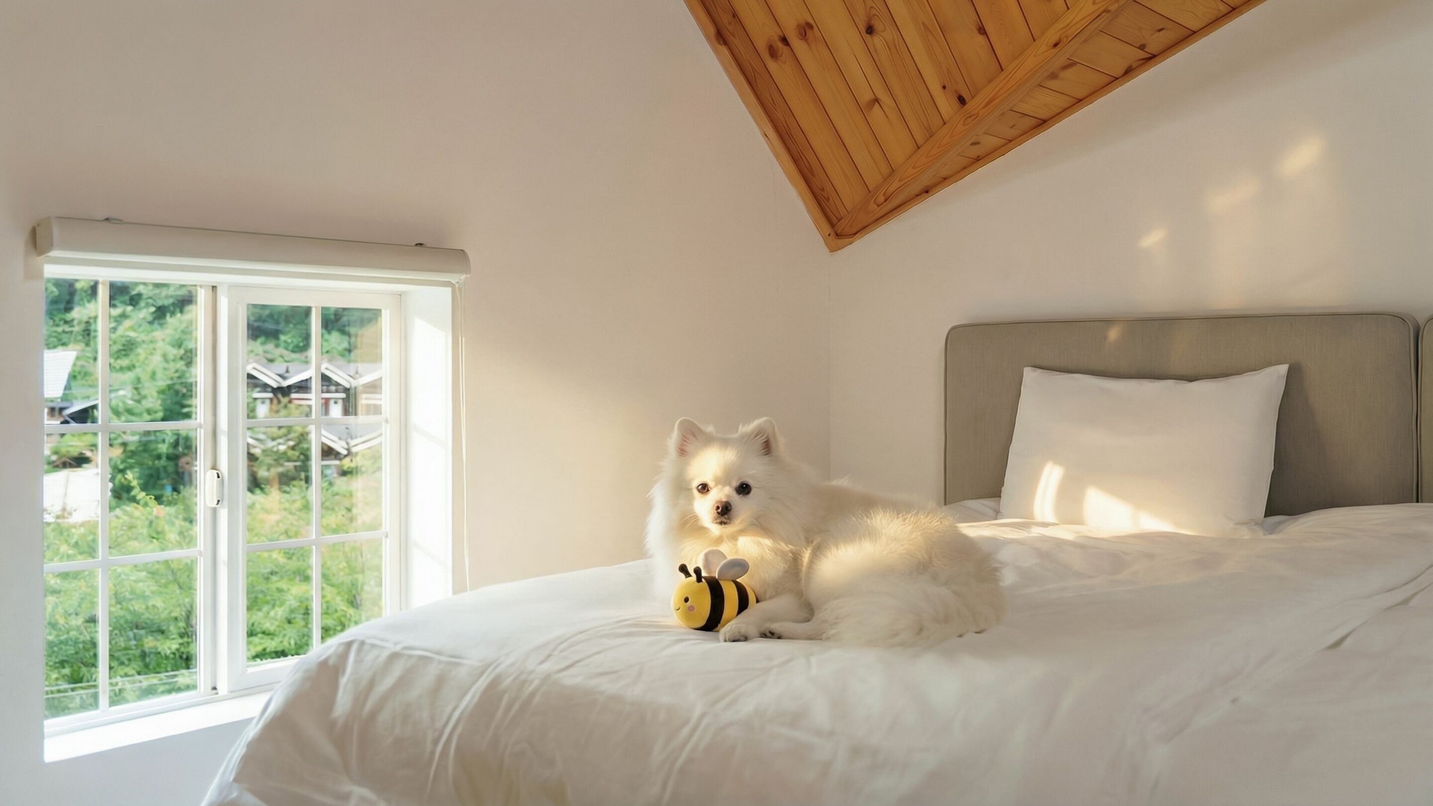 Basic Room, 1 Bedroom (Jin dalle) | Free WiFi