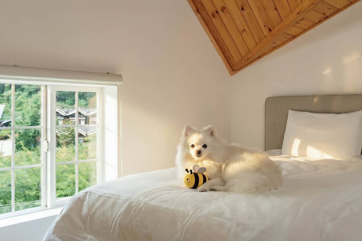 A bedroom with a bed, a window, and a ceiling with wooden beams.