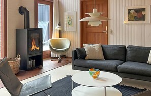 Fernseher, Kamin