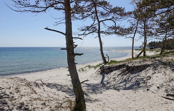 Nära stranden