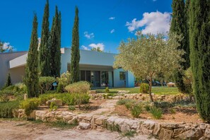 A modern house with a stone pathway leading to the entrance, surrounded by cypress trees and a well-maintained garden.