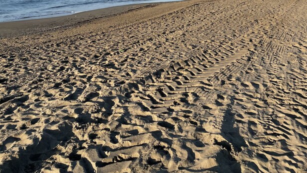 A wide sandy beach with footprints leading to the water, a clear blue sky, and distant mountains. - Live in Paradise (Marbella)