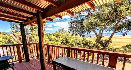 # 3. Howling Wolf's Lair - Studio W/ Fireplace (Pet Free)