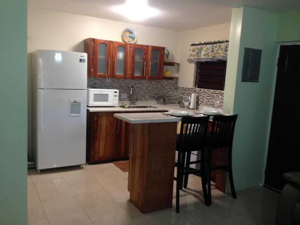 Fridge, oven, cookware/dishes/utensils
