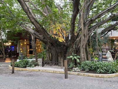 Casa Selva, nestled in one of the few remaining pieces of jungle