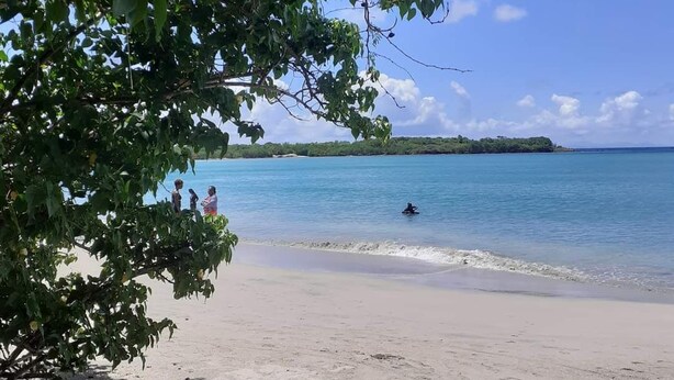 A beach with clear blue water, a sandy shore, and a tree in the foreground. - Studio eliconia<br>Quartier anse bellune <br>Rue la bellune Trinité 97220 (trinite)